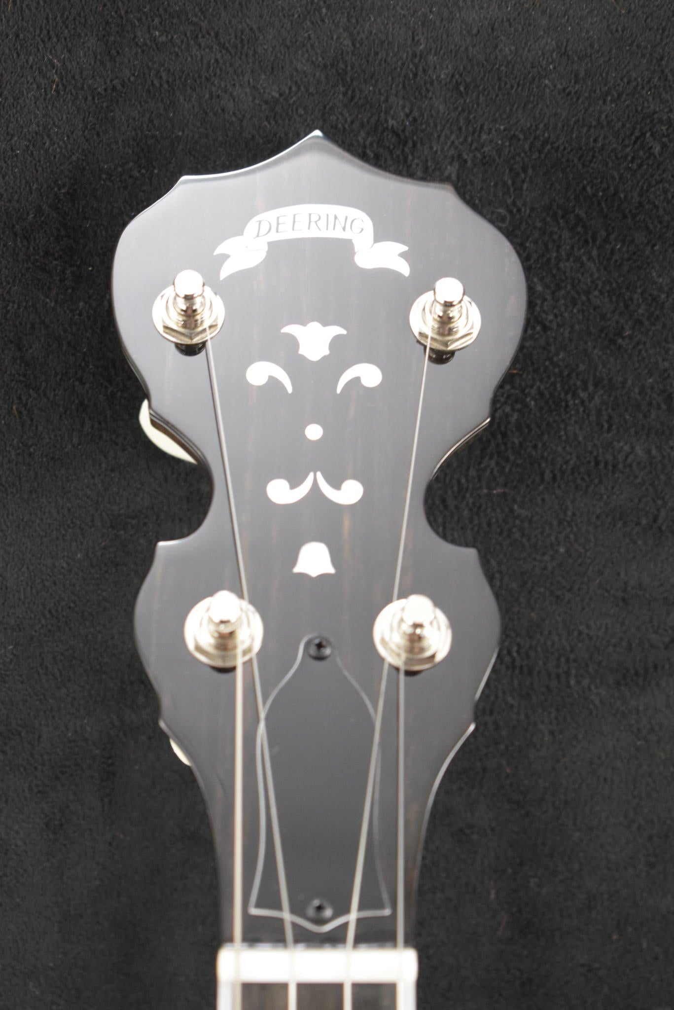 Deering Maple Blossom 5-String Banjo