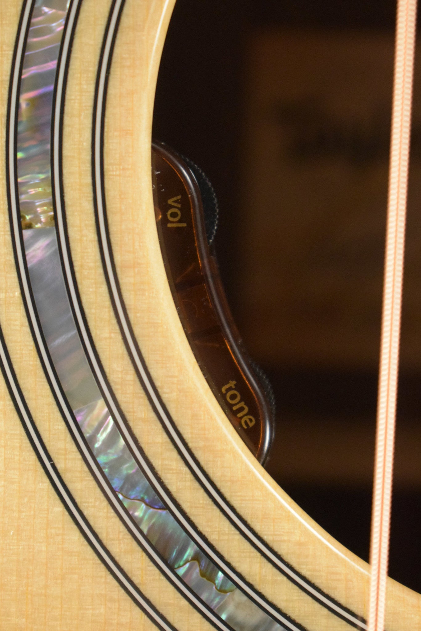 Taylor Legacy 810e LR Baggs Element VTC Dreadnought