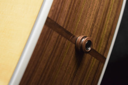 Taylor Legacy 810e LR Baggs Element VTC Dreadnought