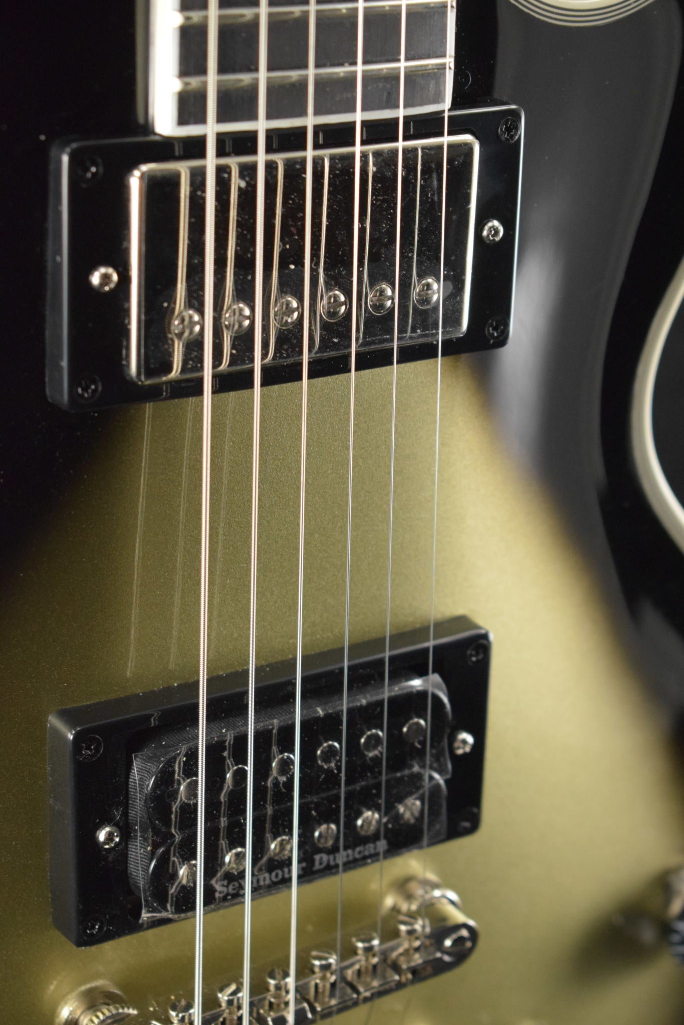 Epiphone Adam Jones Les Paul Custom Julie Heffernan’s Self-Portrait As Not Dead Yet Silverburst