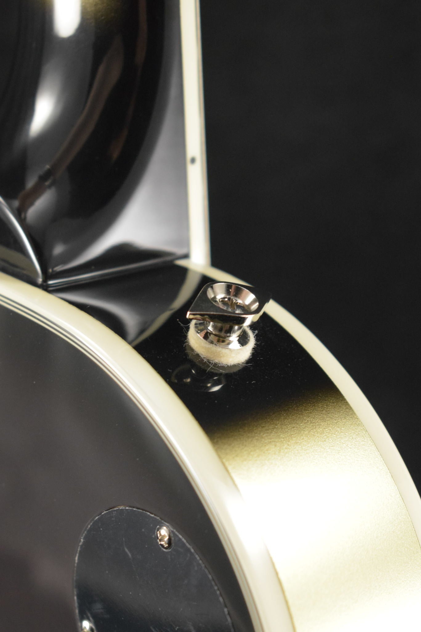 Epiphone Adam Jones Les Paul Custom Julie Heffernan’s Self-Portrait As Not Dead Yet Silverburst