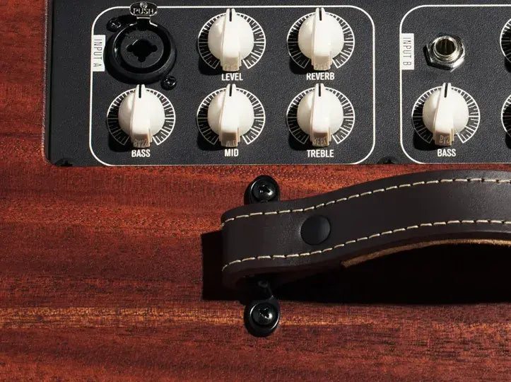 Taylor Circa 74 AV150-10 Vocal/Acoustic Guitar Amplifier Mahogany w/Stand