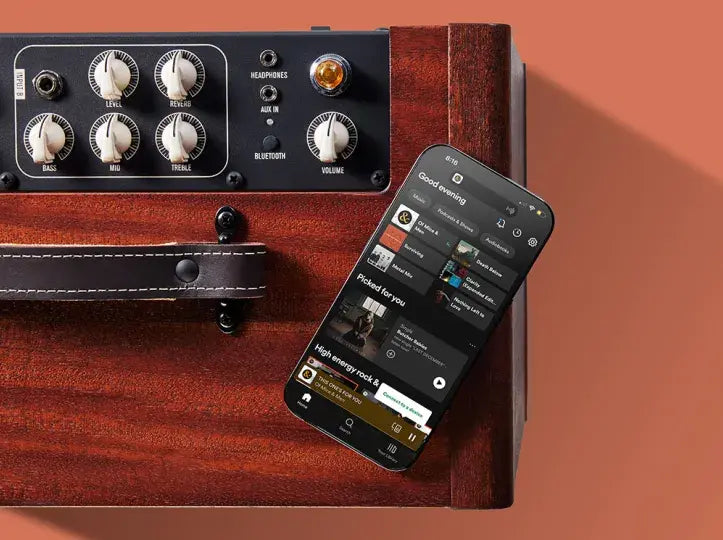 Taylor Circa 74 AV150-10 Vocal/Acoustic Guitar Amplifier Mahogany w/Stand