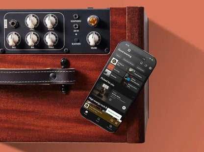 Taylor Circa 74 AV150-10 Vocal/Acoustic Guitar Amplifier Mahogany w/Stand